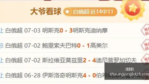 赛季战报高频彩票：风暴挑战梦想，11胜9负战绩深度解析